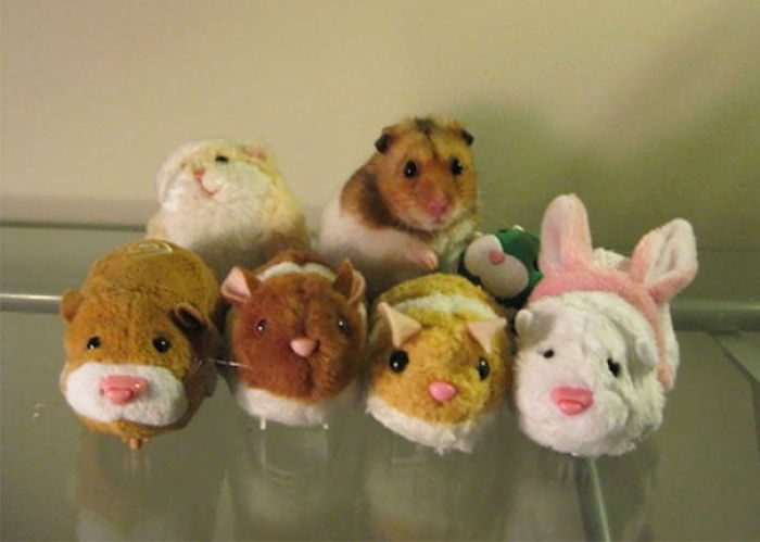 One Of These Things Is Not Like The Other (145 pics) One Of These Things Is Not Like The Other (145 pics)