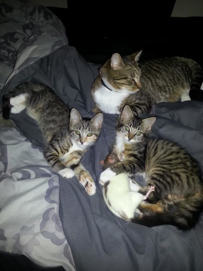 One Of These Things Is Not Like The Other (145 pics) One Of These Things Is Not Like The Other (145 pics)