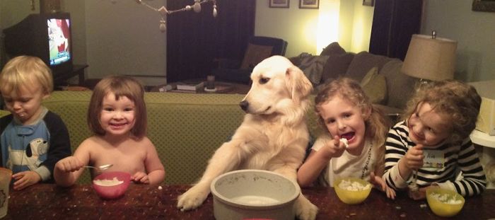 One Of These Things Is Not Like The Other (145 pics) One Of These Things Is Not Like The Other (145 pics)