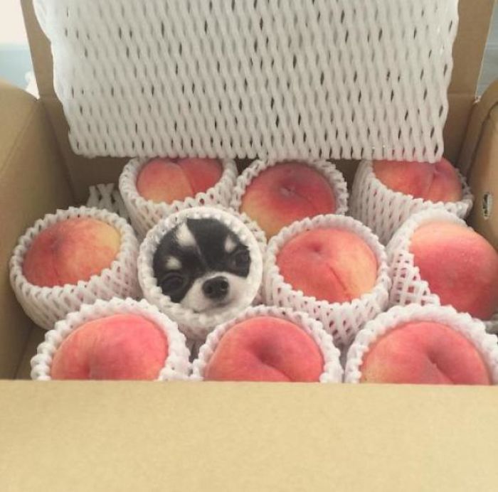 One Of These Things Is Not Like The Other (145 pics) One Of These Things Is Not Like The Other (145 pics)