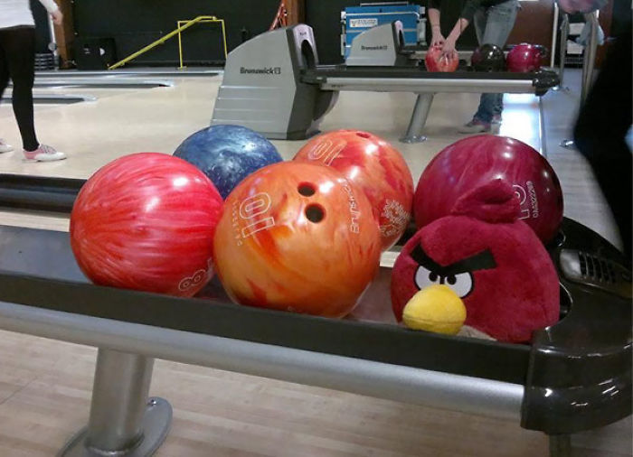 One Of These Things Is Not Like The Other (145 pics) One Of These Things Is Not Like The Other (145 pics)