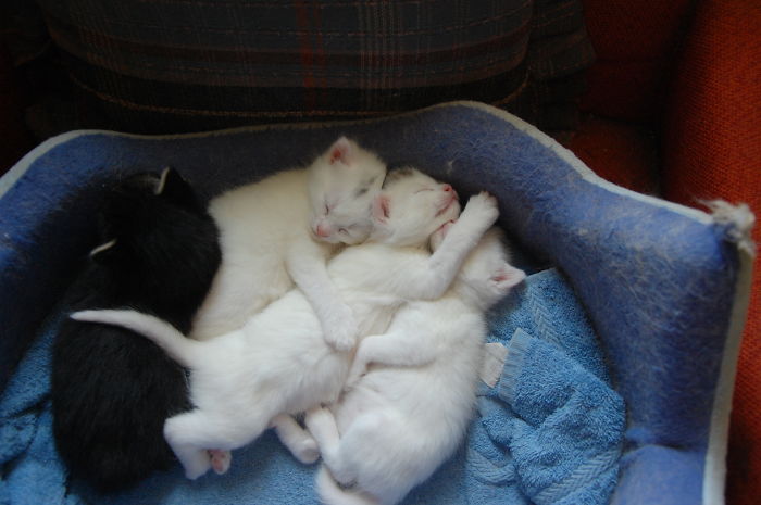 One Of These Things Is Not Like The Other (145 pics) One Of These Things Is Not Like The Other (145 pics)