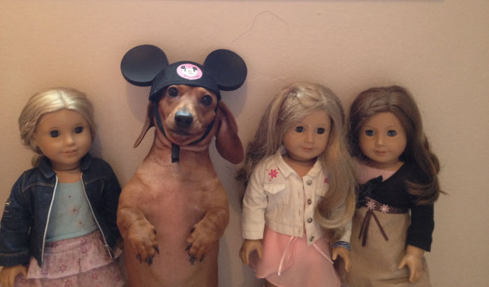 One Of These Things Is Not Like The Other (145 pics) One Of These Things Is Not Like The Other (145 pics)