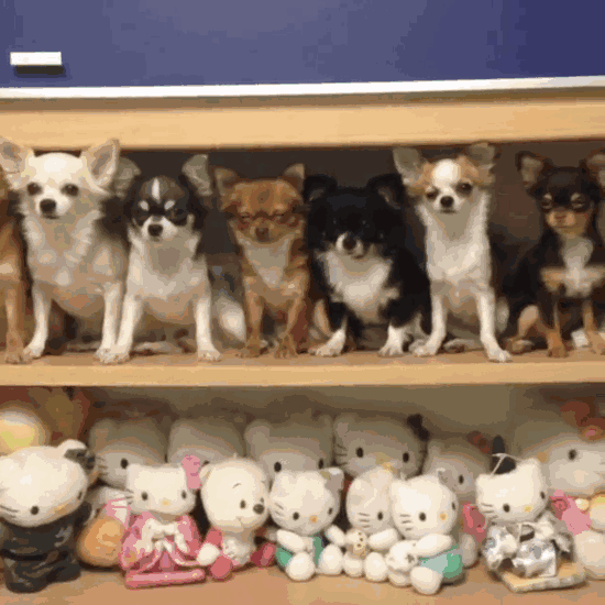 One Of These Things Is Not Like The Other (145 pics) One Of These Things Is Not Like The Other (145 pics)