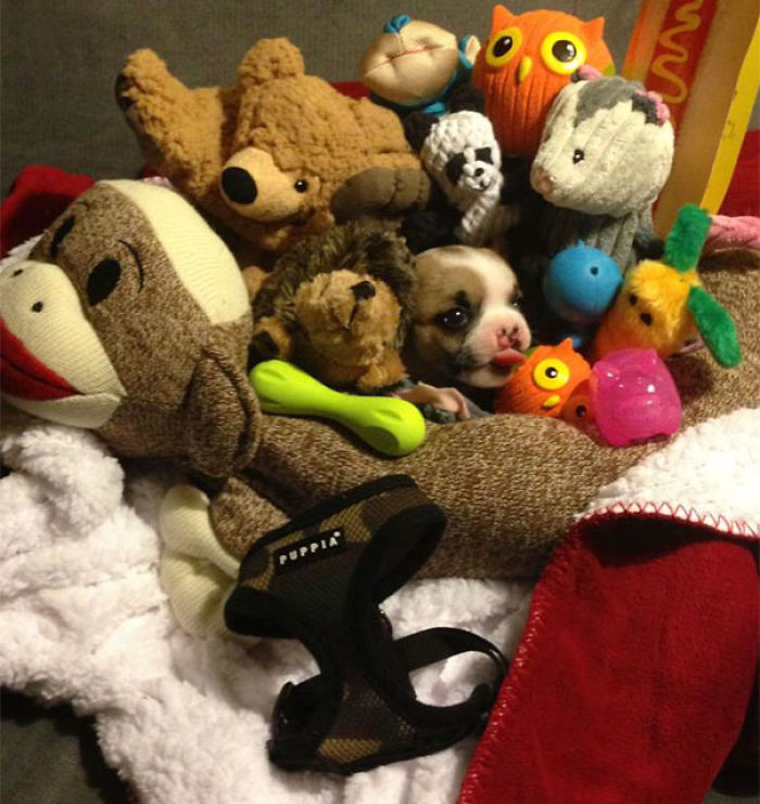 One Of These Things Is Not Like The Other (145 pics) One Of These Things Is Not Like The Other (145 pics)