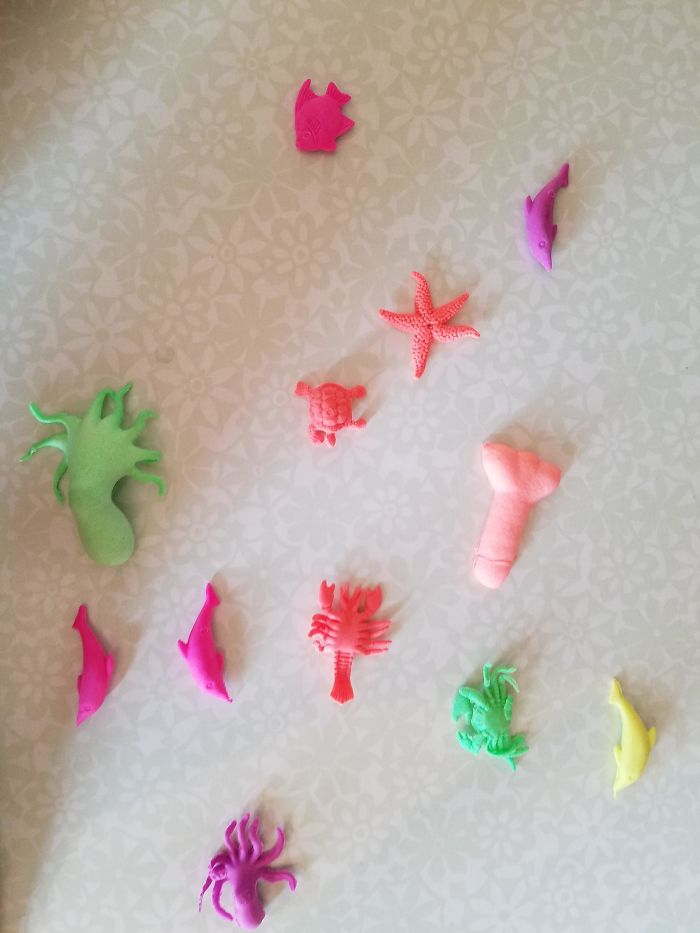 One Of These Things Is Not Like The Other (145 pics) One Of These Things Is Not Like The Other (145 pics)