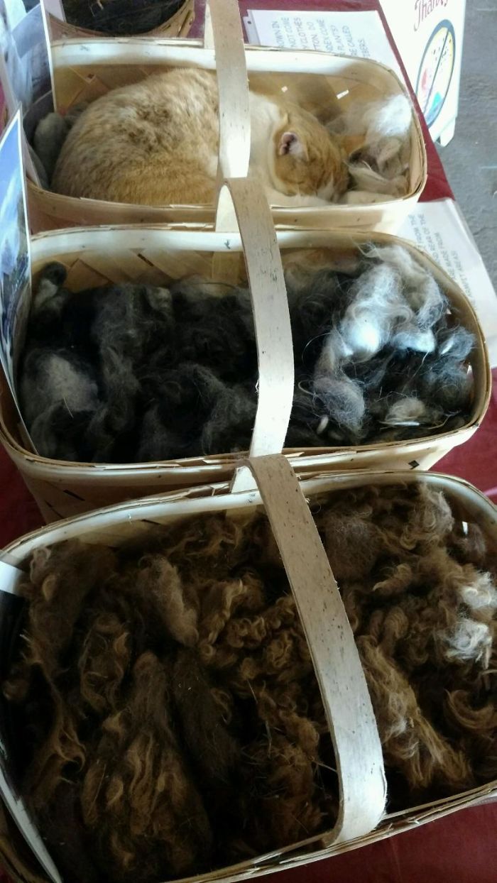 One Of These Things Is Not Like The Other (145 pics) One Of These Things Is Not Like The Other (145 pics)