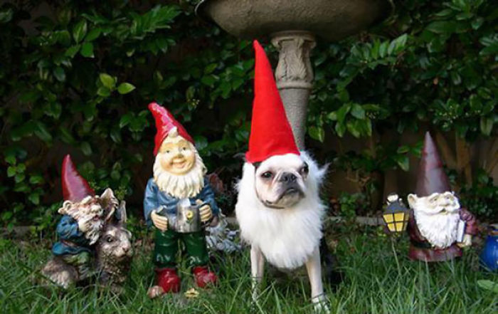 One Of These Things Is Not Like The Other (145 pics) One Of These Things Is Not Like The Other (145 pics)