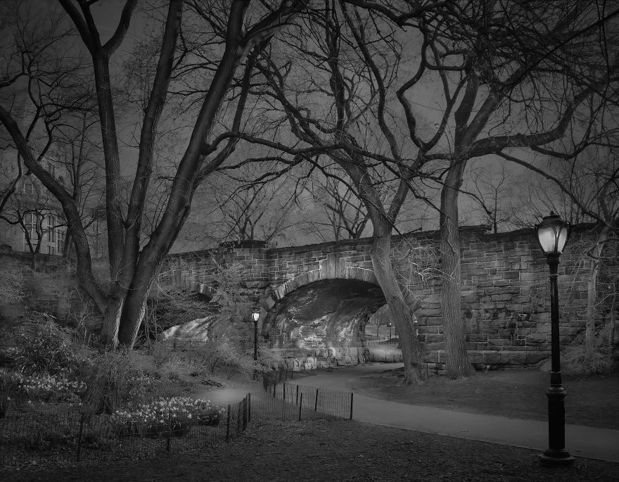 Photographer Suffering From Terrible Insomnia Captures Haunting Pics Of Central Park When There’s No People Photographer Suffering From Terrible Insomnia Captures Haunting Pics Of Central Park When There’s No People