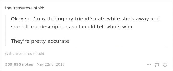 Cat-Sitter Shares The Note She Got From The Owner, And It’s Hilarious Cat-Sitter Shares The Note She Got From The Owner, And It’s Hilarious