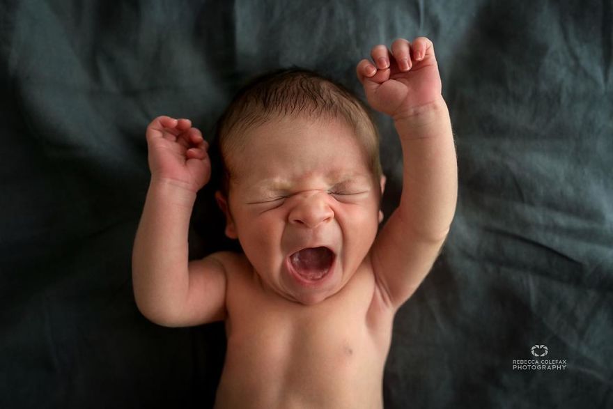 Photographer Takes Pictures Of Babies As Never Seen Before Photographer Takes Pictures Of Babies As Never Seen Before