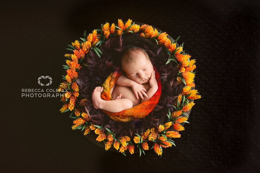 Photographer Takes Pictures Of Babies As Never Seen Before Photographer Takes Pictures Of Babies As Never Seen Before
