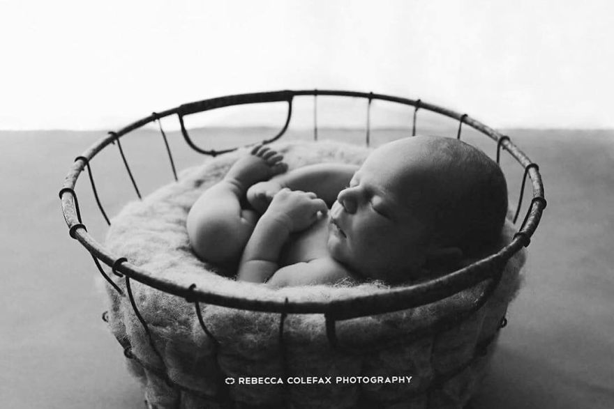 Photographer Takes Pictures Of Babies As Never Seen Before Photographer Takes Pictures Of Babies As Never Seen Before
