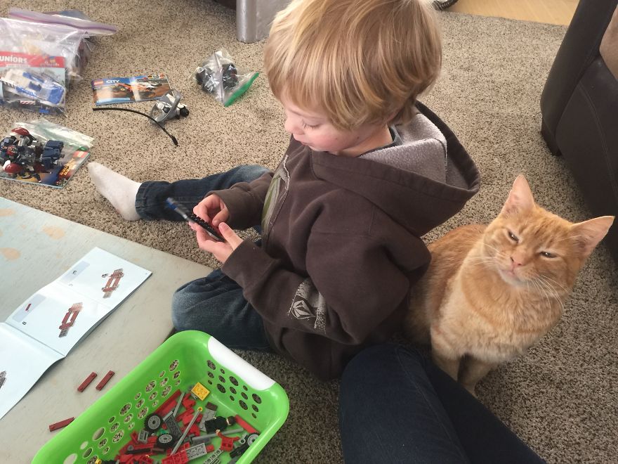 We Adopted A Stray Cat And He Can’t Stop Showing His Gratitude We Adopted A Stray Cat And He Can’t Stop Showing His Gratitude