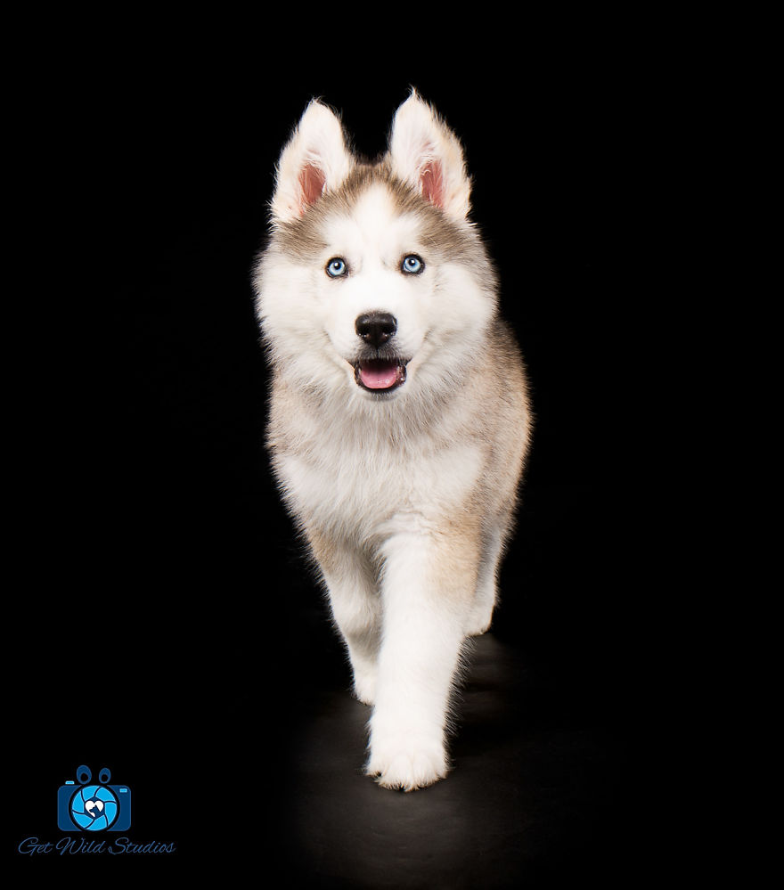 It Was Love At First Site It Was Love At First Site