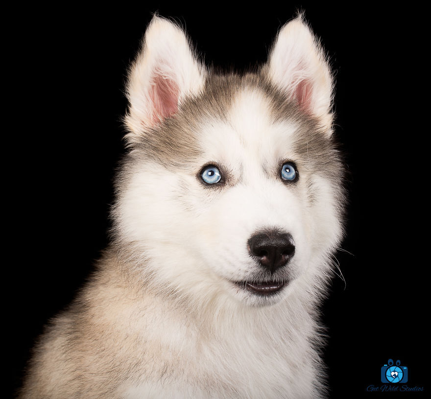 It Was Love At First Site It Was Love At First Site