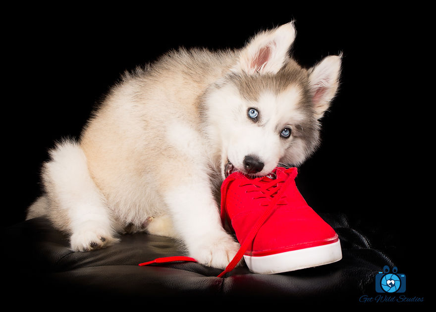 It Was Love At First Site It Was Love At First Site