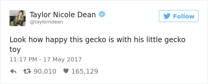 This Gecko Can’t Stop Smiling When He’s Around His Toy Gecko, And Their Pics Will Make Your Day This Gecko Can’t Stop Smiling When He’s Around His Toy Gecko, And Their Pics Will Make Your Day