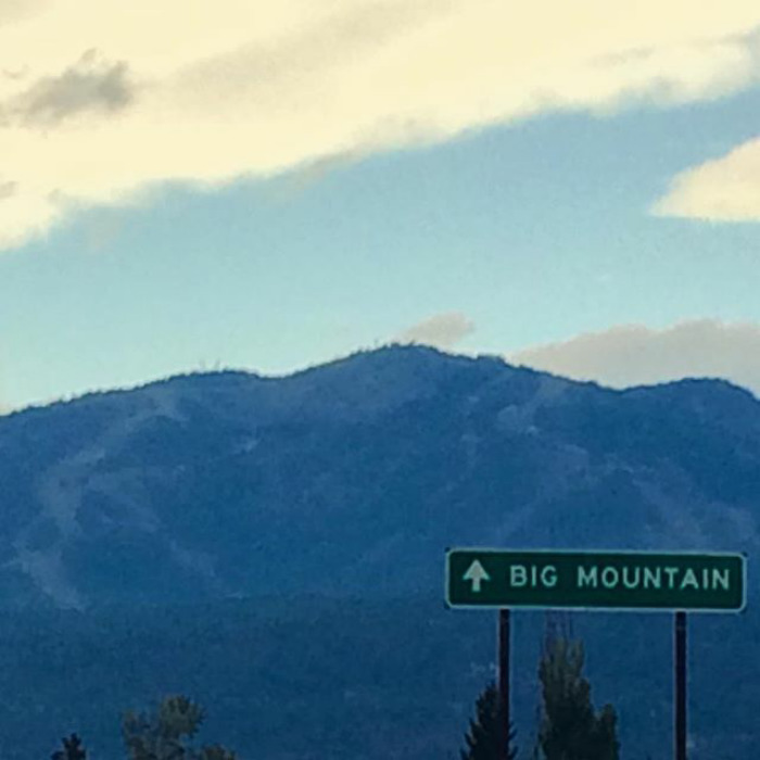 111 Obvious Signs Humanity Is Regressing 111 Obvious Signs Humanity Is Regressing