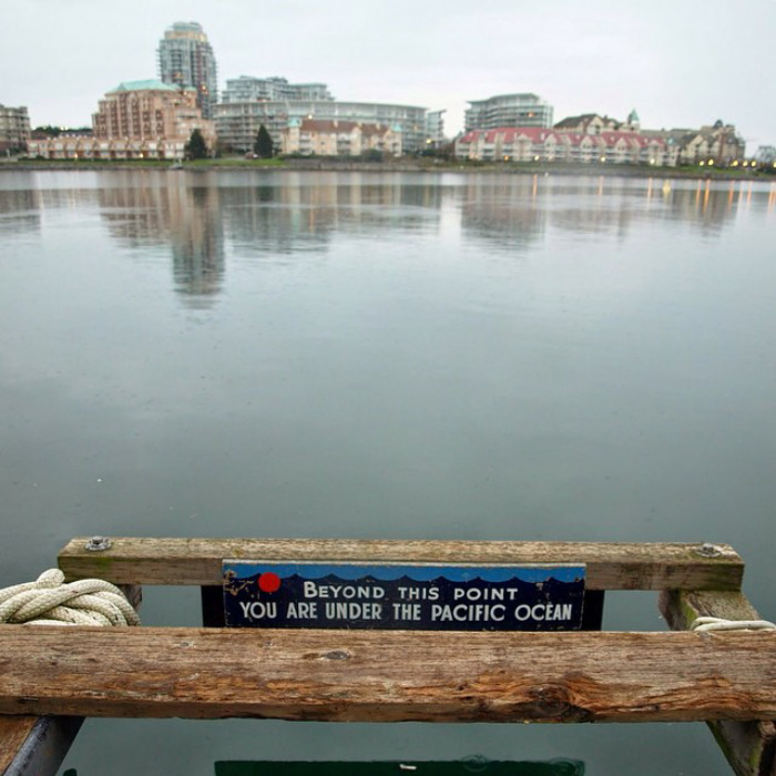 111 Obvious Signs Humanity Is Regressing 111 Obvious Signs Humanity Is Regressing