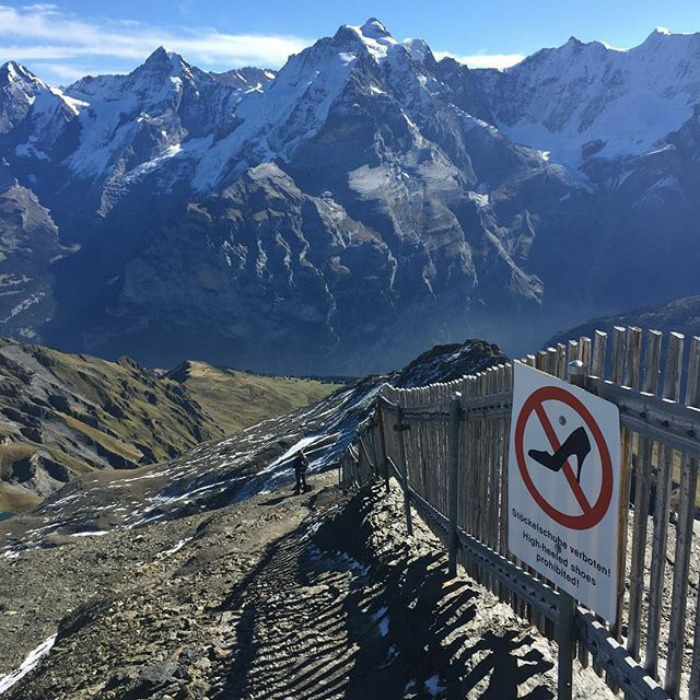 111 Obvious Signs Humanity Is Regressing 111 Obvious Signs Humanity Is Regressing