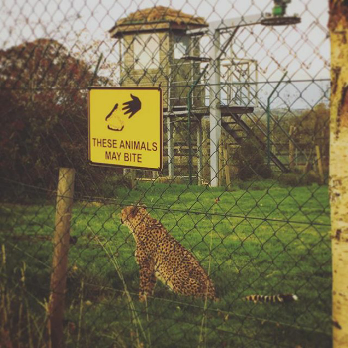 111 Obvious Signs Humanity Is Regressing 111 Obvious Signs Humanity Is Regressing