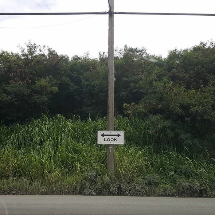 111 Obvious Signs Humanity Is Regressing 111 Obvious Signs Humanity Is Regressing