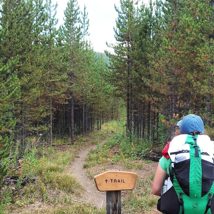 111 Obvious Signs Humanity Is Regressing 111 Obvious Signs Humanity Is Regressing