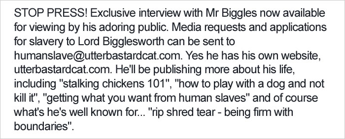 Shelter Writes Brutally Honest Adoption Memo For Their &#8216;Utter Bastard Of A Cat&#8217;