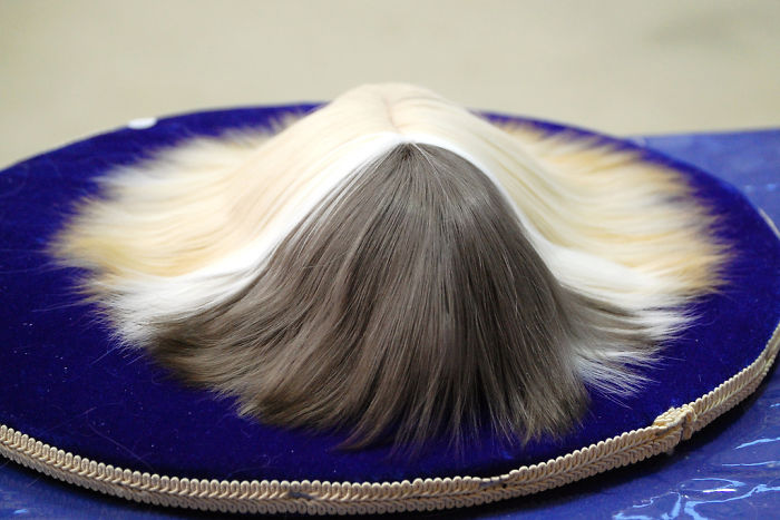 53 Guinea Pigs With The Most Majestic Hair 53 Guinea Pigs With The Most Majestic Hair