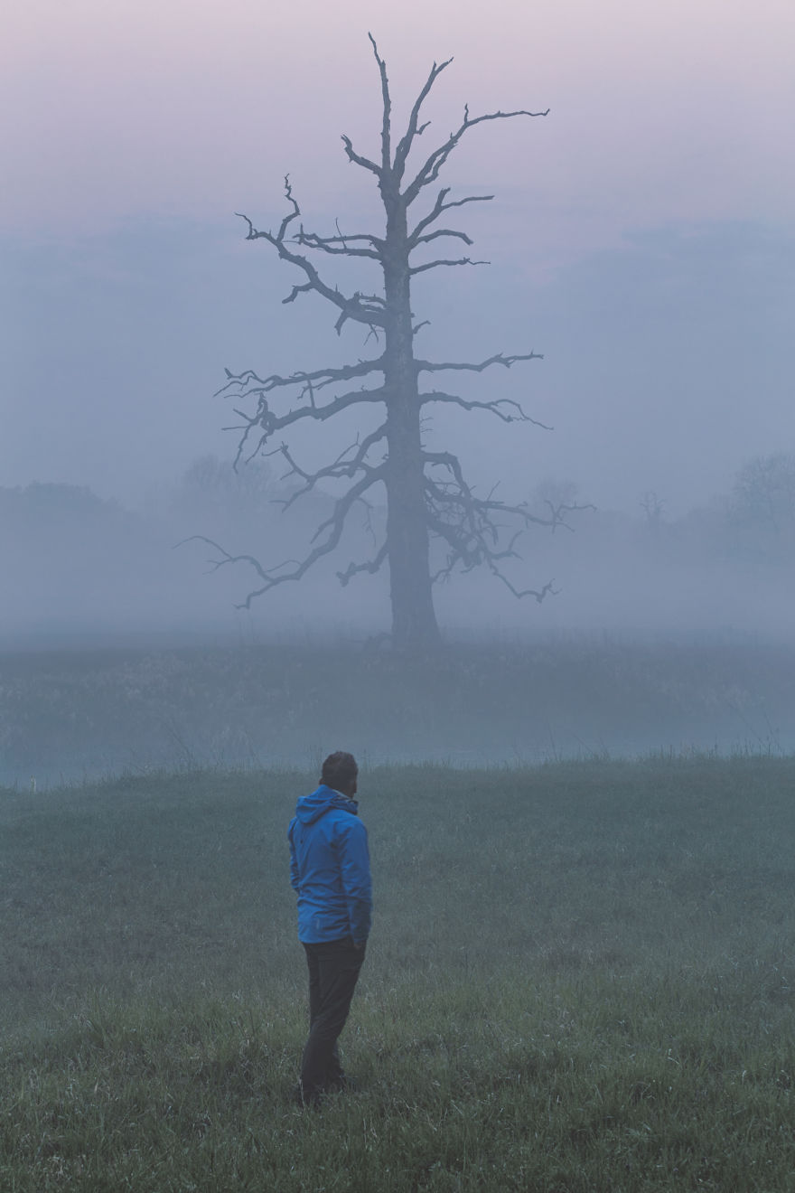 I Photographed Monumental And Unreal Rogalin Oaks I Photographed Monumental And Unreal Rogalin Oaks