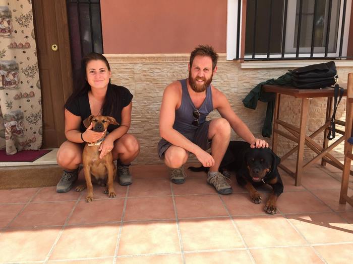 This Website Lets You Travel Around The World If You Agree To Take Care Of Other People’s Pets This Website Lets You Travel Around The World If You Agree To Take Care Of Other People’s Pets