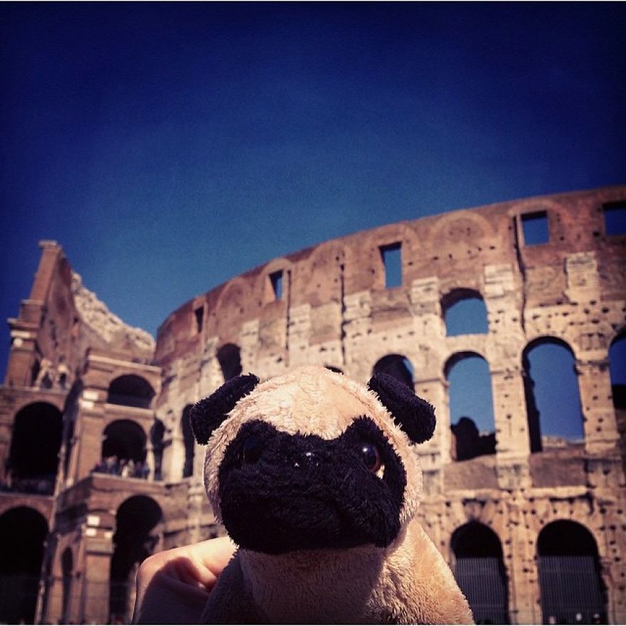 Meet Mr. Pug, The Traveling Toy Dog Exploring The World Meet Mr. Pug, The Traveling Toy Dog Exploring The World