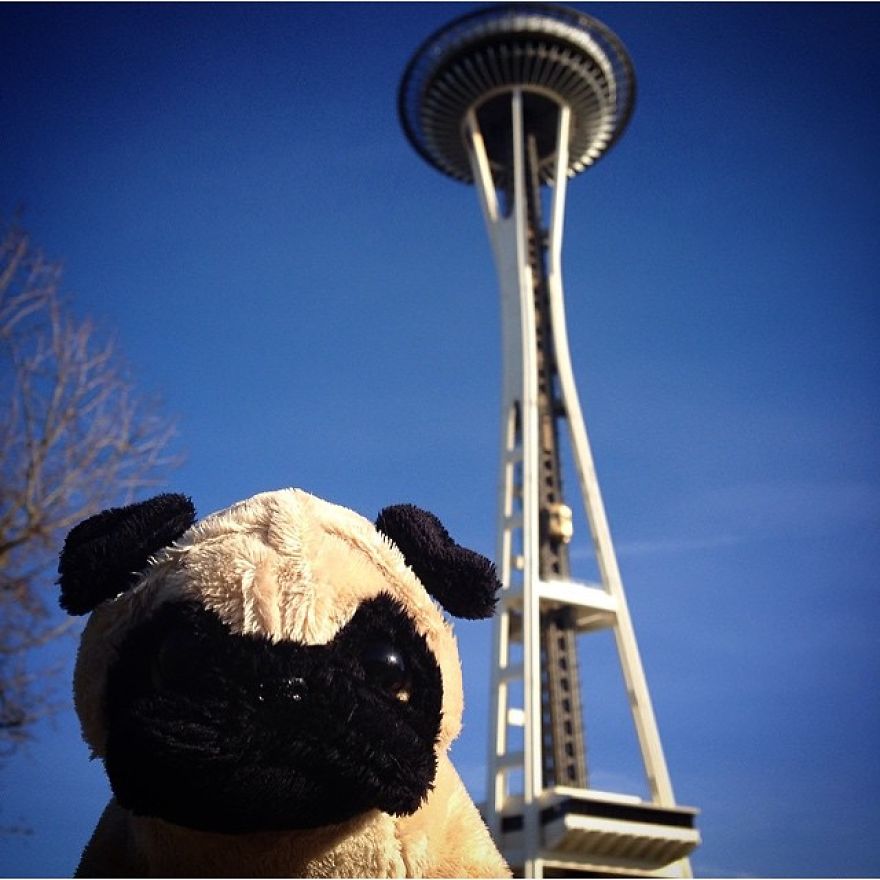 Meet Mr. Pug, The Traveling Toy Dog Exploring The World Meet Mr. Pug, The Traveling Toy Dog Exploring The World
