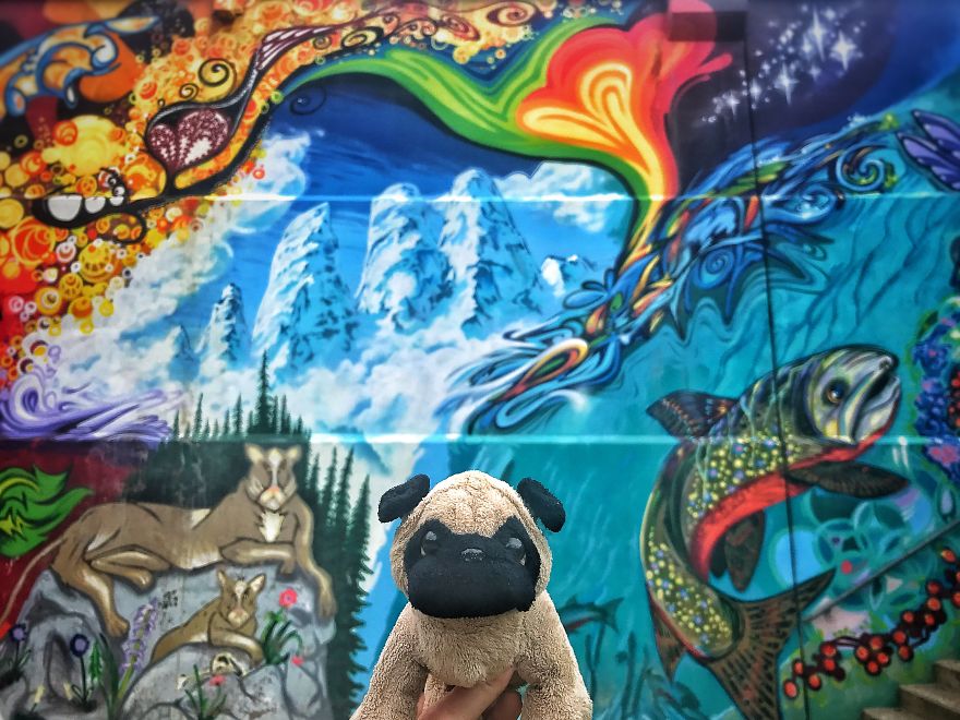 Meet Mr. Pug, The Traveling Toy Dog Exploring The World Meet Mr. Pug, The Traveling Toy Dog Exploring The World
