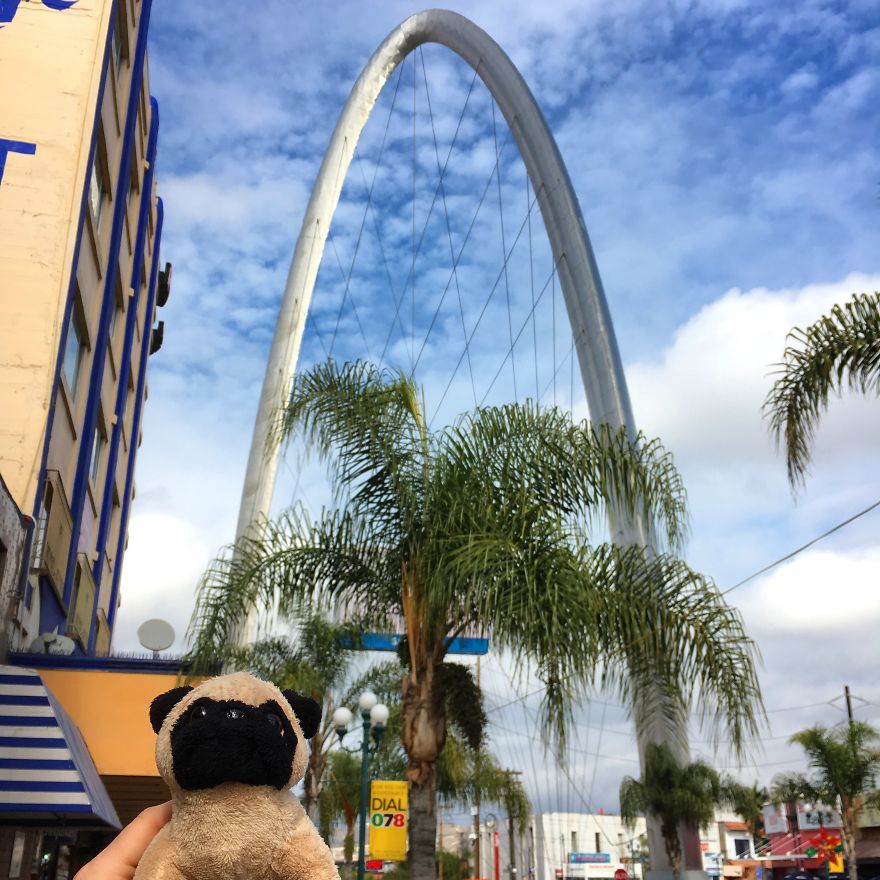 Meet Mr. Pug, The Traveling Toy Dog Exploring The World Meet Mr. Pug, The Traveling Toy Dog Exploring The World