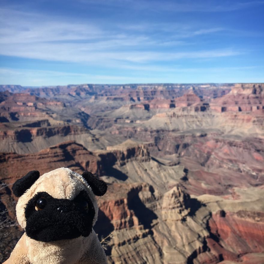 Meet Mr. Pug, The Traveling Toy Dog Exploring The World Meet Mr. Pug, The Traveling Toy Dog Exploring The World