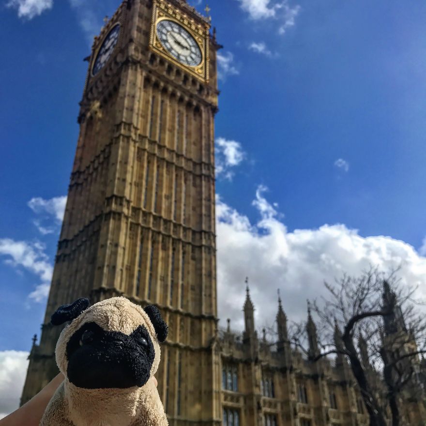 Meet Mr. Pug, The Traveling Toy Dog Exploring The World Meet Mr. Pug, The Traveling Toy Dog Exploring The World