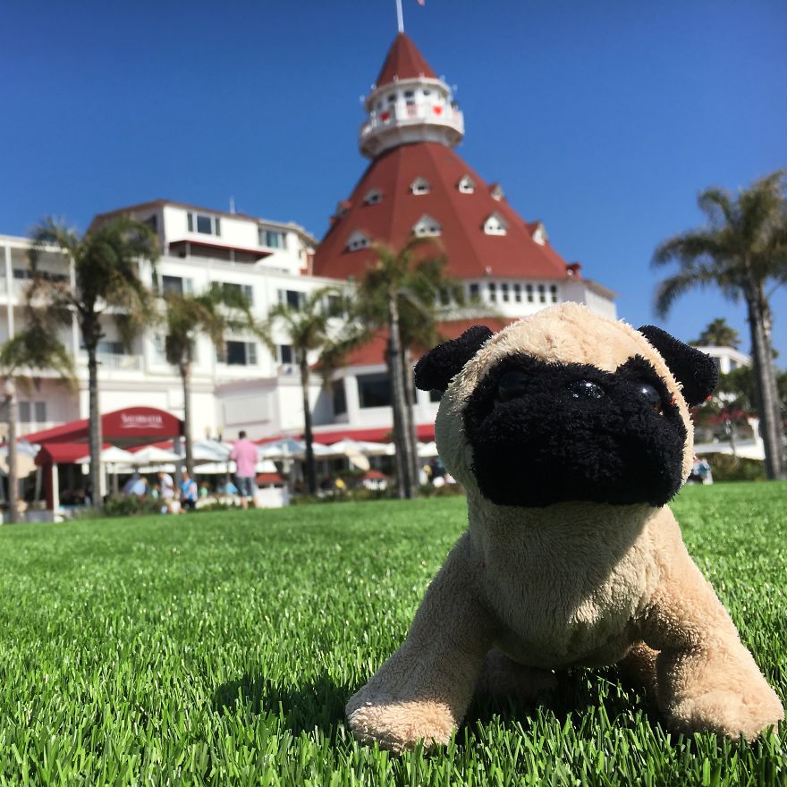 Meet Mr. Pug, The Traveling Toy Dog Exploring The World Meet Mr. Pug, The Traveling Toy Dog Exploring The World