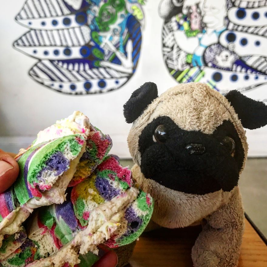 Meet Mr. Pug, The Traveling Toy Dog Exploring The World Meet Mr. Pug, The Traveling Toy Dog Exploring The World