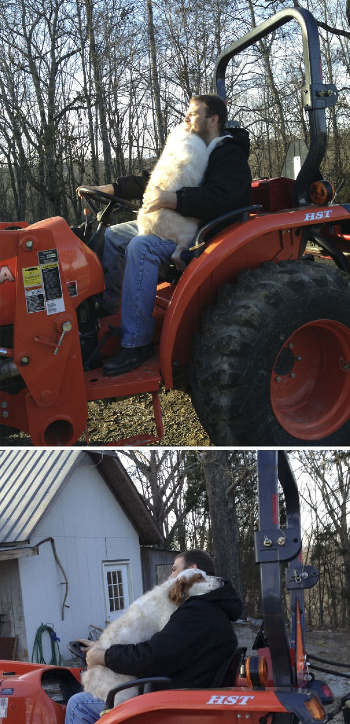 156 Dogs Who Are Afraid Of The Most Ridiculous Things 156 Dogs Who Are Afraid Of The Most Ridiculous Things