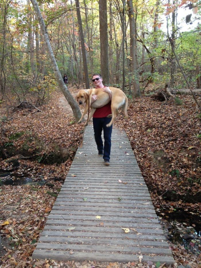 156 Dogs Who Are Afraid Of The Most Ridiculous Things 156 Dogs Who Are Afraid Of The Most Ridiculous Things