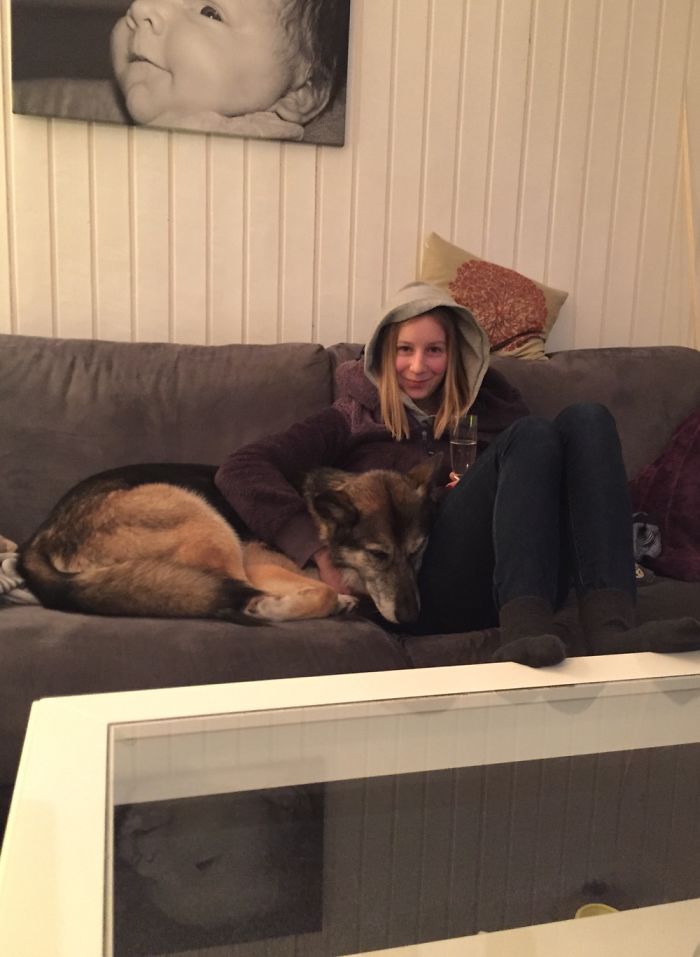 156 Dogs Who Are Afraid Of The Most Ridiculous Things 156 Dogs Who Are Afraid Of The Most Ridiculous Things