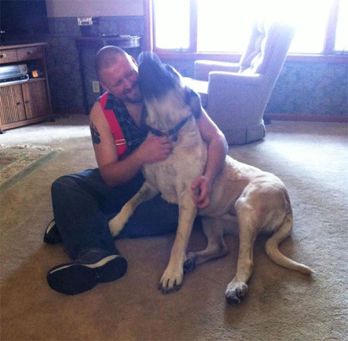 156 Dogs Who Are Afraid Of The Most Ridiculous Things 156 Dogs Who Are Afraid Of The Most Ridiculous Things