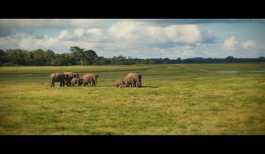 I Made This Travel Video About My Trip To Sri Lanka I Made This Travel Video About My Trip To Sri Lanka