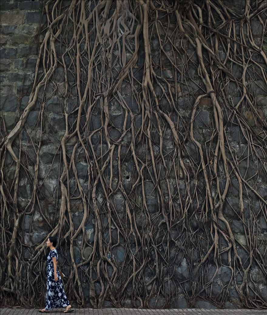 I Celebrate “Littleness” Through My Photography I Celebrate “Littleness” Through My Photography