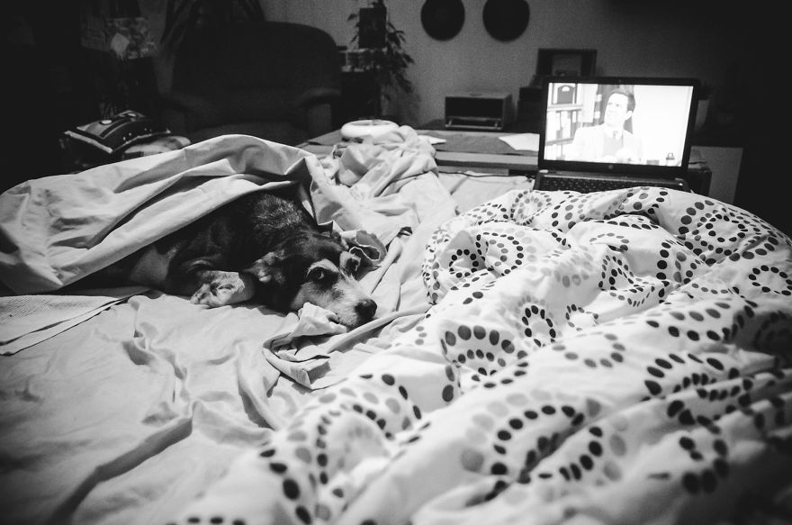 I Hoped To Photograph A Miracle, But Instead, I Captured My Hardest Goodbye I Hoped To Photograph A Miracle, But Instead, I Captured My Hardest Goodbye