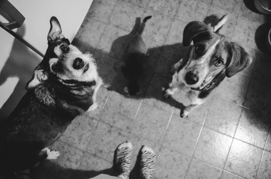 I Hoped To Photograph A Miracle, But Instead, I Captured My Hardest Goodbye I Hoped To Photograph A Miracle, But Instead, I Captured My Hardest Goodbye