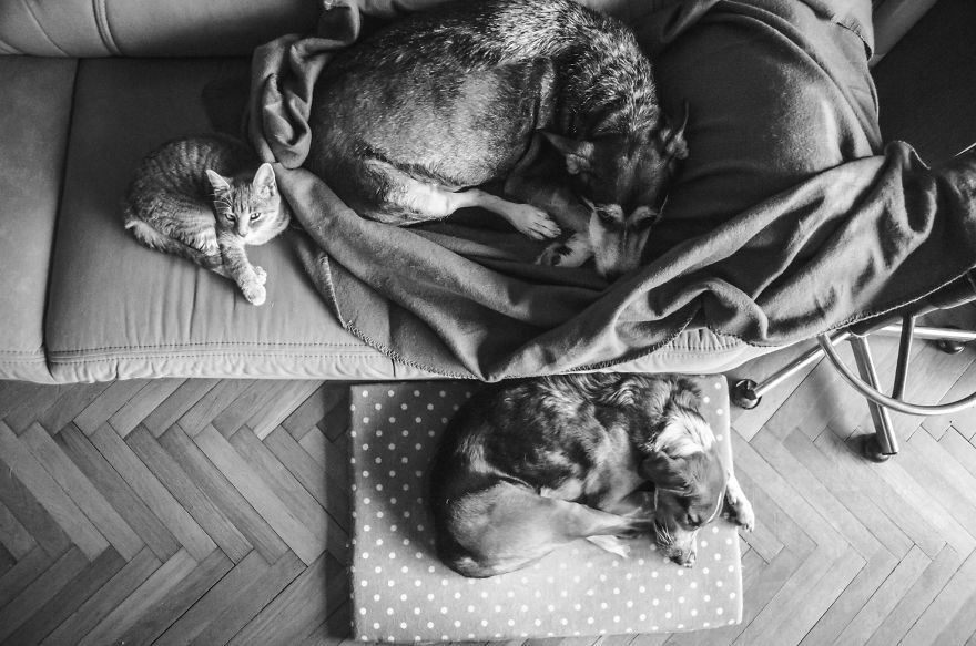 I Hoped To Photograph A Miracle, But Instead, I Captured My Hardest Goodbye I Hoped To Photograph A Miracle, But Instead, I Captured My Hardest Goodbye