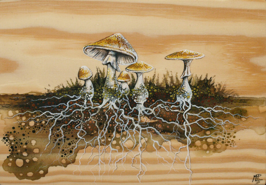 I Create Watercolor Paintings On Wood To Show My Love For Nature